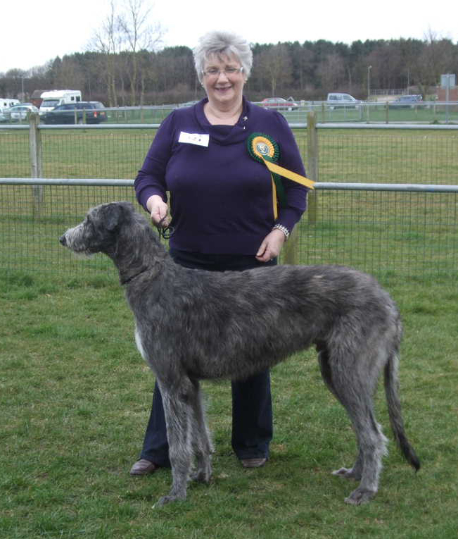 Reserve CC Winners Hound Association of Scoland 2007